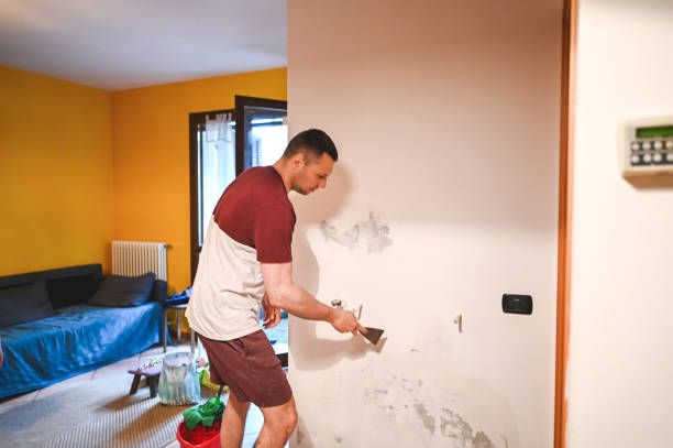 Best Mold Removal Near Me  in Poplar Plains, CT